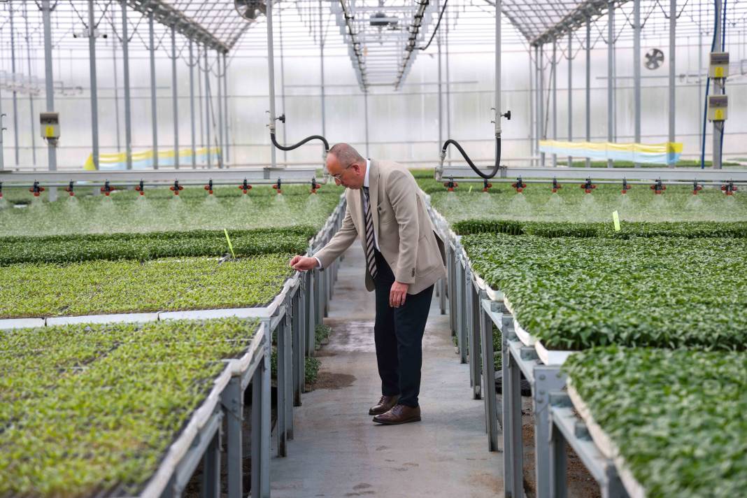 Konya’nın fidesini Meram yetiştiriyor! Satışlar başladı 9